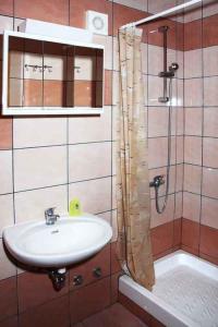 a bathroom with a sink and a shower at Apartment Valbandon 3 in Štinjan