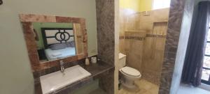 a bathroom with a sink and a toilet and a shower at Casa Fernery in Valladolid