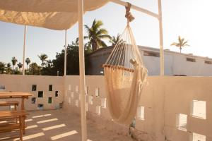 a hammock hanging from a tent in a patio at Hotel Casa Ceci Inn in San José del Cabo