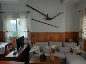 a living room with a couch and a tv at Barrancolaurel in Moya