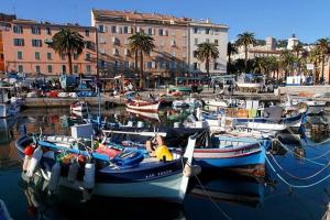a bunch of boats are docked in a harbor at Charmant T2 au coeur de la rue Fesch in Ajaccio +3 photos