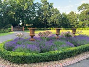 a garden with purple flowers and vases in the middle at Whitmoor Farm & Spa in Guildford