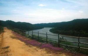 un camino de tierra junto a un río con una valla en La Mina Rural Casas con encanto, en La Isabel