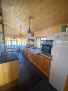 Una cocina o zona de cocina en Seosko turisticko domacinstvo Radivojevic