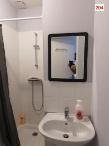 a bathroom with a sink and a mirror and a shower at Immoappart in Albi