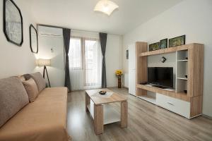 普利特維采湖的住宿－Apartman Lujko Plitvice，带沙发、电视和桌子的客厅
