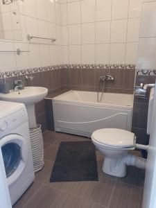 a bathroom with a toilet sink and a washing machine at Apartman Nidžo in Trebinje