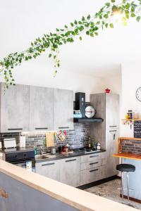 una cocina con electrodomésticos de acero inoxidable y vegetación en Posada Verona Hostel, en Verona