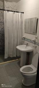 a bathroom with a toilet and a sink and a shower at HL Sea Homestay in Hualien City