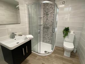 a bathroom with a shower and a sink and a toilet at Apt 4 - Silver Spruce in Killarney +15 photos