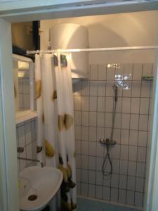 a bathroom with a sink and a shower at Hostel Trajan in Donji Milanovac