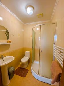 een badkamer met een douche, een toilet en een wastafel bij Domashnya Saduba in Mukacheve