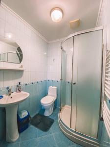 uma casa de banho com um chuveiro, um WC e um lavatório. em Domashnya Saduba em Mukacheve