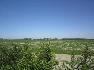un campo de cultivos con un cielo azul en el fondo en Holiday home in a rural location near sea, en Zuidzande