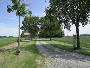 un chemin de terre avec des arbres au milieu d'un champ dans l'établissement Holiday home in a rural location near sea, à Zuidzande