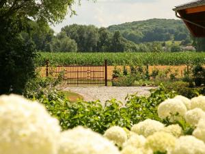 a garden with a gate and a field of crops at Bright Farmhouse in Gulpen Netherlands With Garden in Stokhem