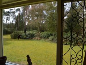 A garden outside Beautiful Holiday Home with Garden in Huijbergen