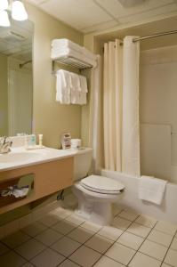 a bathroom with a toilet and a sink and a mirror at Meadowlands Plaza Hotel in Secaucus