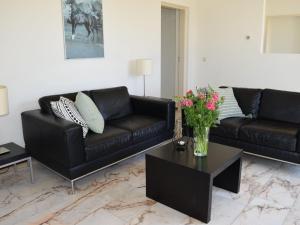uma sala de estar com um sofá preto e uma mesa em Detached holiday home with sauna em Kamperland