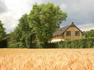 a field of wheat in front of a house at Restored farmhouse in Wijlre with two terraces in Wijlre