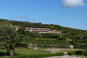 a large apartment building on a hill with a palm tree at Residence Portolaconia Appartamenti in Cannigione