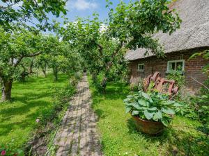 A garden outside Characteristic headlong hull farm with thatched cover