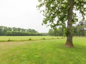 a tree in the middle of a green field at Cozy Holiday Home near Forest in Baarn in Baarn