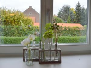 trois vases avec des fleurs sur un rebord de fenêtre dans l'établissement Cozy apartment in Roasting near the Belgian border, à Roosteren