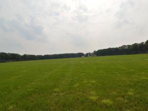 un grande campo verde con alberi sullo sfondo di Quaint Farmhouse in Haarlo near the Forest a Haarlo