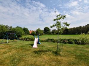 een park met twee speeltoestellen in het gras bij Quaint Farmhouse in Haarlo near the Forest in Haarlo