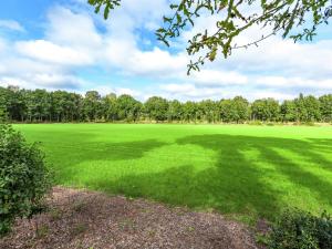 a large green field with trees in the background at Cozy Holiday Home in Reutum with Jacuzzi in Weerselo