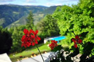Widok na góry z tego hotelu
