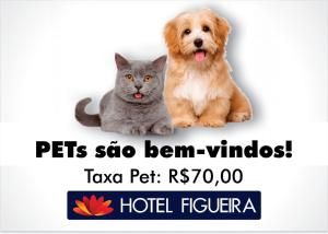 een hond en een kat naast elkaar bij Hotel Figueira Palace in Dourados