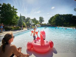 Fotografie z fotogalerie ubytování Child-friendly Villa in Limburg v destinaci Roggel