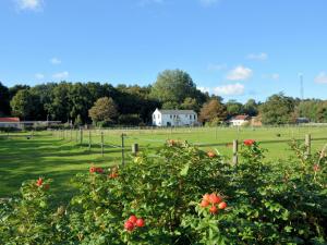 Κήπος έξω από το Apartment in Noordwijk near North Sea Beach +31 φωτογραφίες