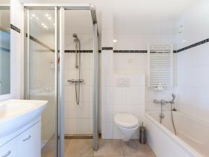 ein Bad mit einer Dusche, einem WC und einem Waschbecken in der Unterkunft Luxury holiday home with private terrace in Langweer