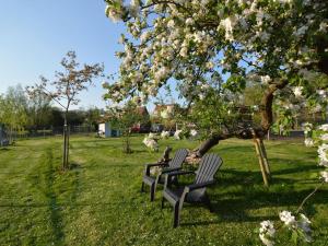 four park benches sitting under a tree in a park at Holiday Home in Bergen op Zoom with Garden in Bergen op Zoom