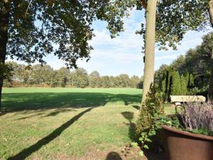 a park with a tree and a green field at Holiday Home in Reutum Weerselo with Jacuzzi in Beekdorp