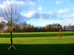 een vogelvoeder in een veld met een boom bij Staying in a thatched barn with bedroom and box bed beautiful view Achterhoek in Geesteren