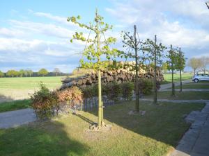 a tree in a park with a rock wall at Holiday home in North Limburg with enclosed garden in Ospel