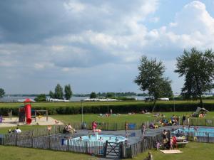 um grupo de pessoas brincando em um parque em Comfortable waterside holiday villa em Biddinghuizen