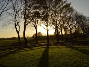 a sun setting behind some trees in a field at Linked farm in Elsendorp with a recreation barn in Elsendorp