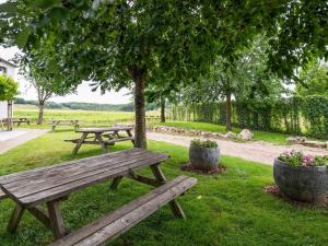 twee picknicktafels en een boom in een park bij Spacious farmhouse in Limburg near forest in Sint Antoniusbank