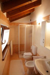 uma casa de banho com um chuveiro, um WC e um lavatório. em Sentiero Valinis em Fanna