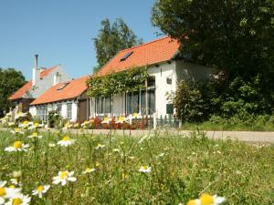 a house with a field of flowers in front of it at Comfortable holiday home in Schoondijke with a terrace in Schoondijke