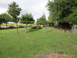 a group of animals in a field with trees at Charming Holiday Home near Beach in Meliskerke in Meliskerke