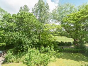 vistas a un parque con árboles y césped en Attractive countryside holiday home in quiet, en Schoorl