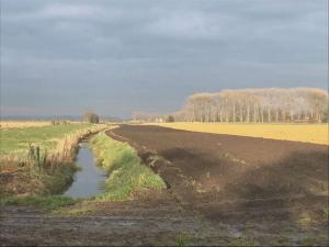 a dirt road in a field with a ditch at Beautiful Holiday Home in Eede with Garden in Eede