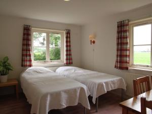 two beds in a room with two windows at Holiday home in quiet surroundings in Sintjohannesga