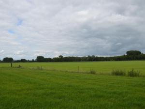 een veld van groen gras met een bewolkte hemel bij Modern Holiday Home in Holten with Forest Near in Holten
